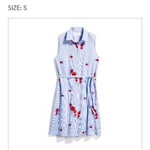 Heline Embroided Shirt Dress (with pockets)